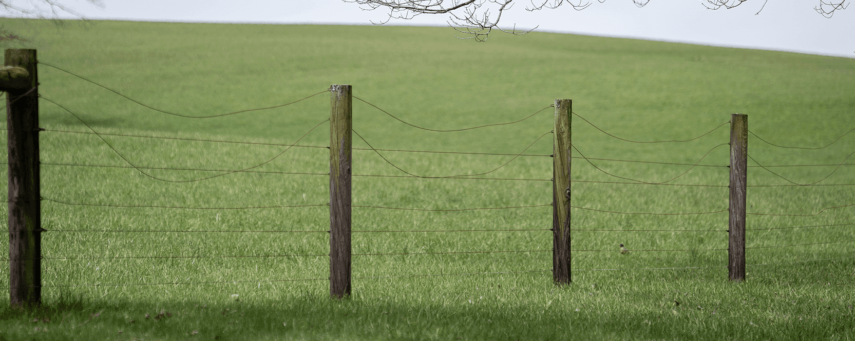 Spring Fence Checklist