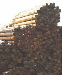 CCA 3"-3½" x 8' Tapered Wood Post - Ships from PA