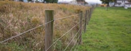 High Tensile: An All-Win Deal