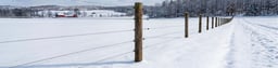5 Signs Your Fence Didn't Survive Winter