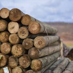 CCA Treated 6 to 7-in x 8ft Tapered Wood Post (.40)