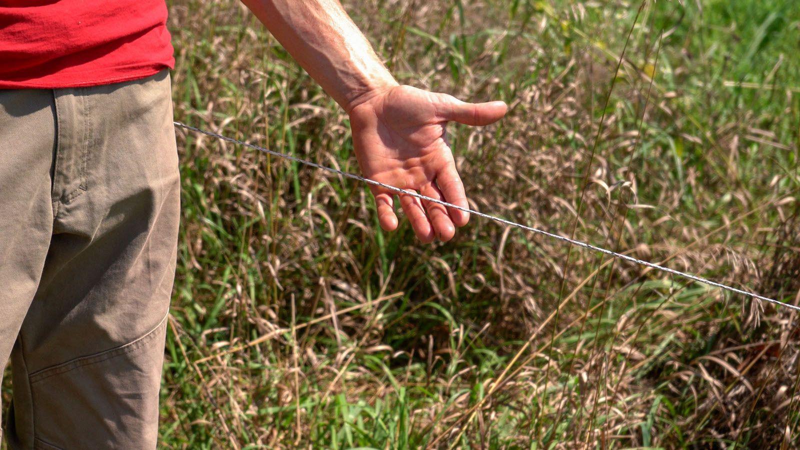 Blog-Planning-Fencing-Materials-3.jpg