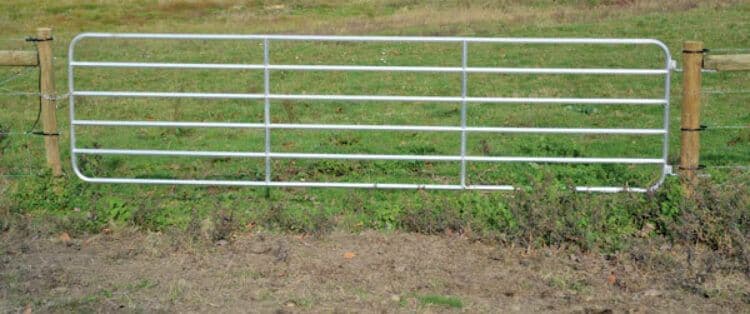 Gates.jpg