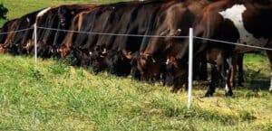 PasturePro-1.jpg