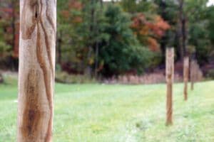 wood-post-1.jpg