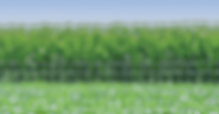 Hero Banner Image