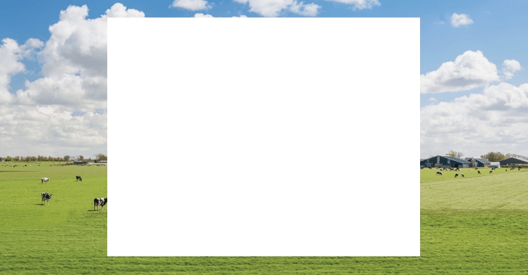 Hero Banner Image