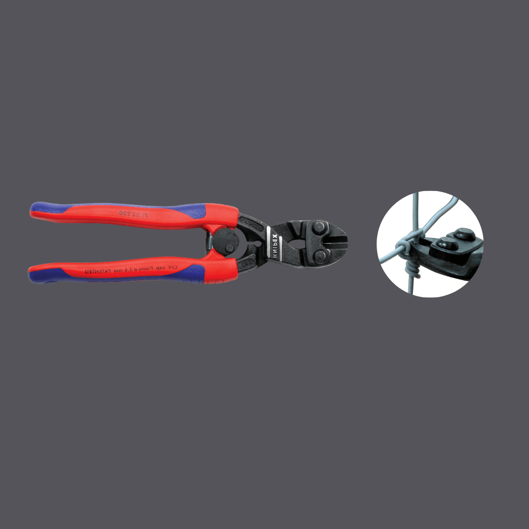 image with text