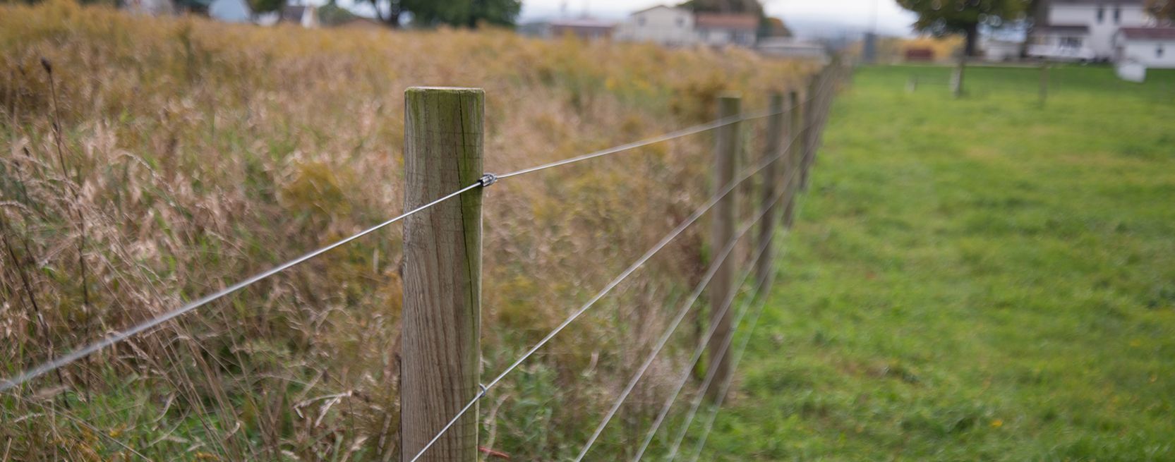 High Tensile: An All-Win Deal