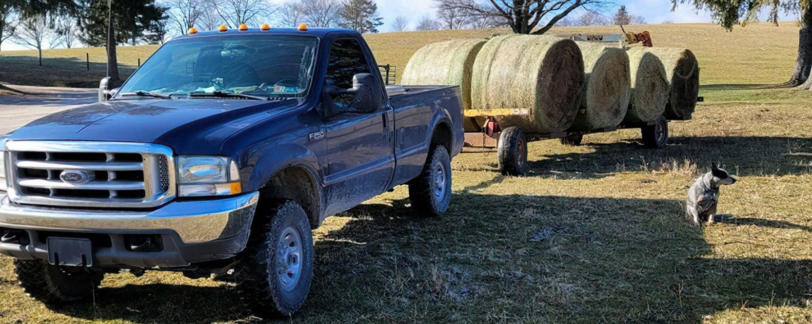 Benefits of Bale Grazing