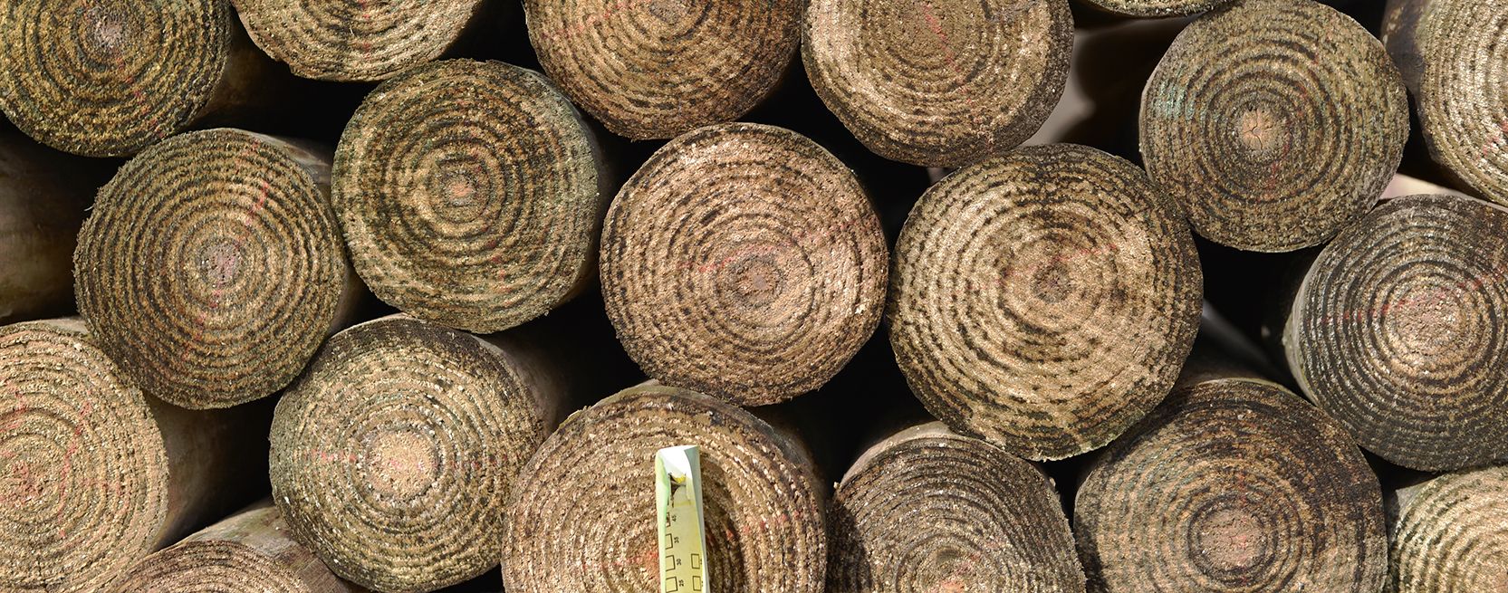 Know Before You Buy, Not All Wood Posts Are Made The Same
