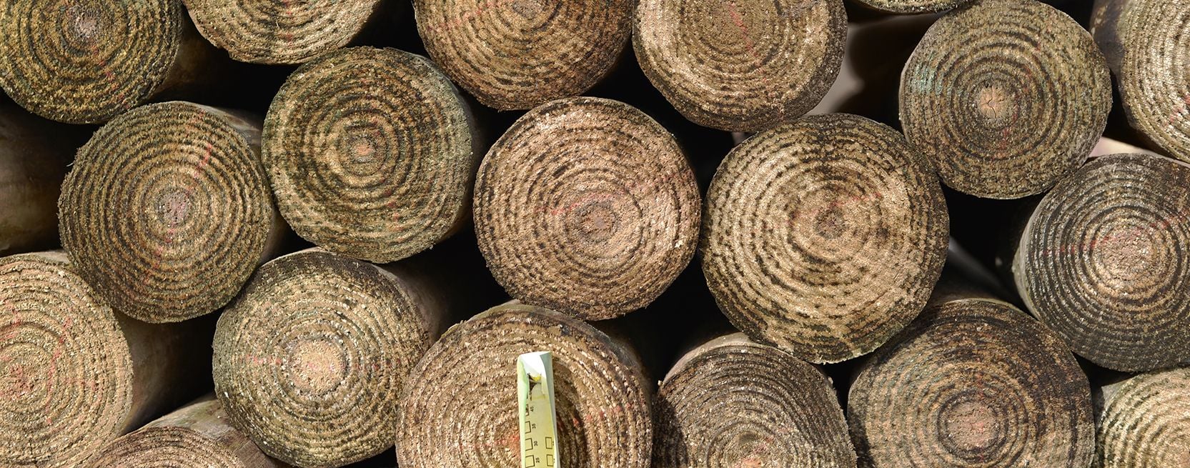 Know Before You Buy, Not All Wood Posts Are Made The Same - Part 2