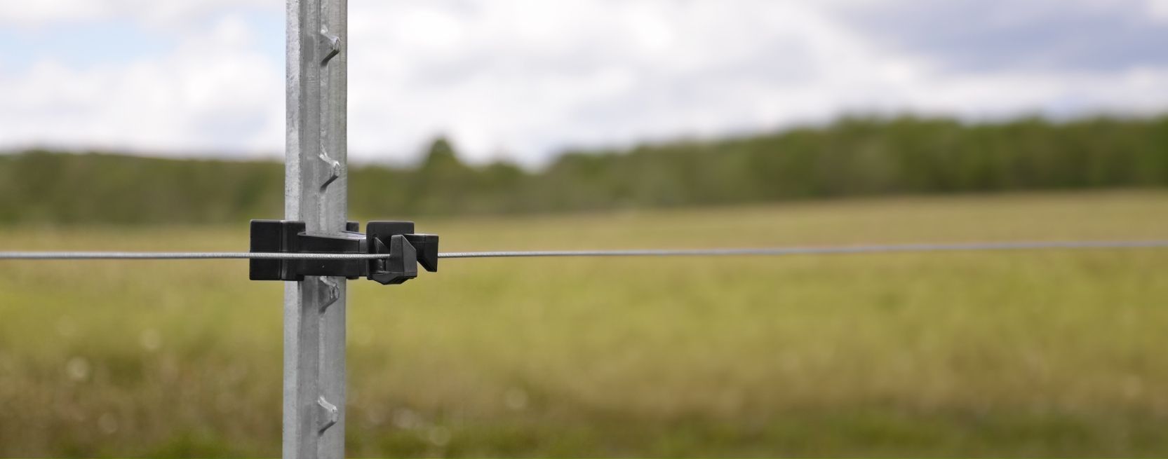 Claws vs Pins