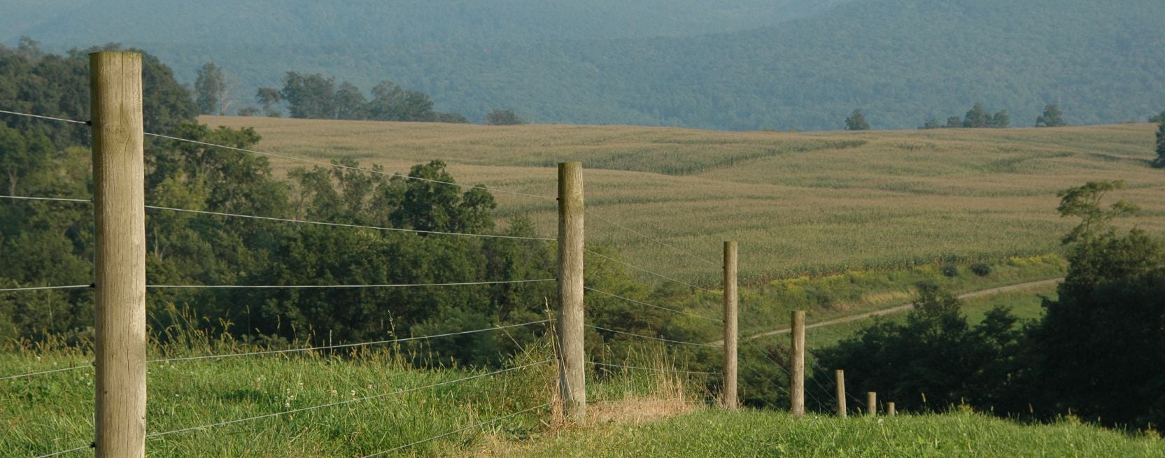 Repairing Your High-Tensile Fence