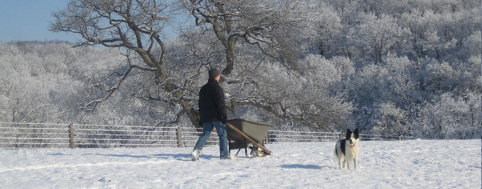 Repairing Your Electric Fence
