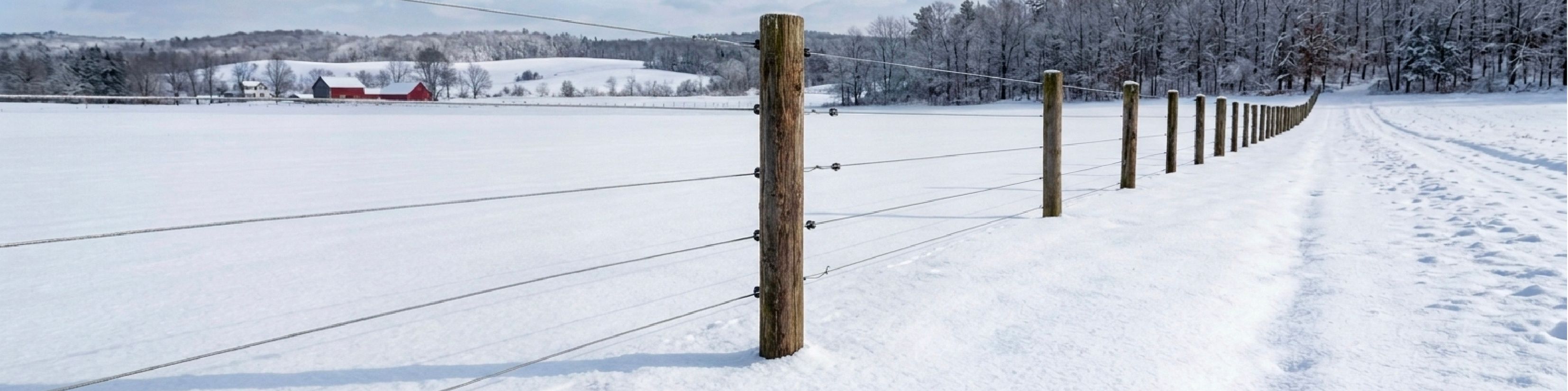 5 Signs Your Fence Didn't Survive Winter