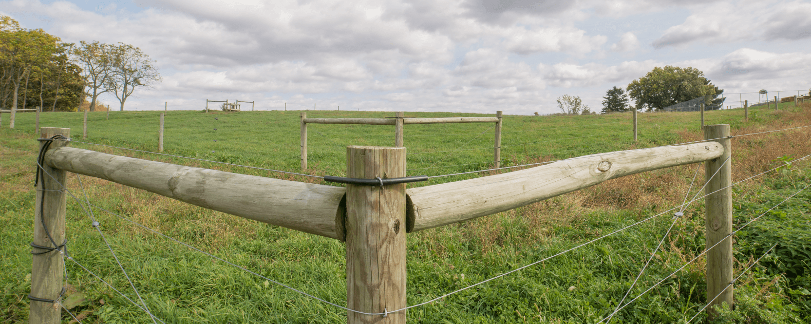 Figuring Out Fencing