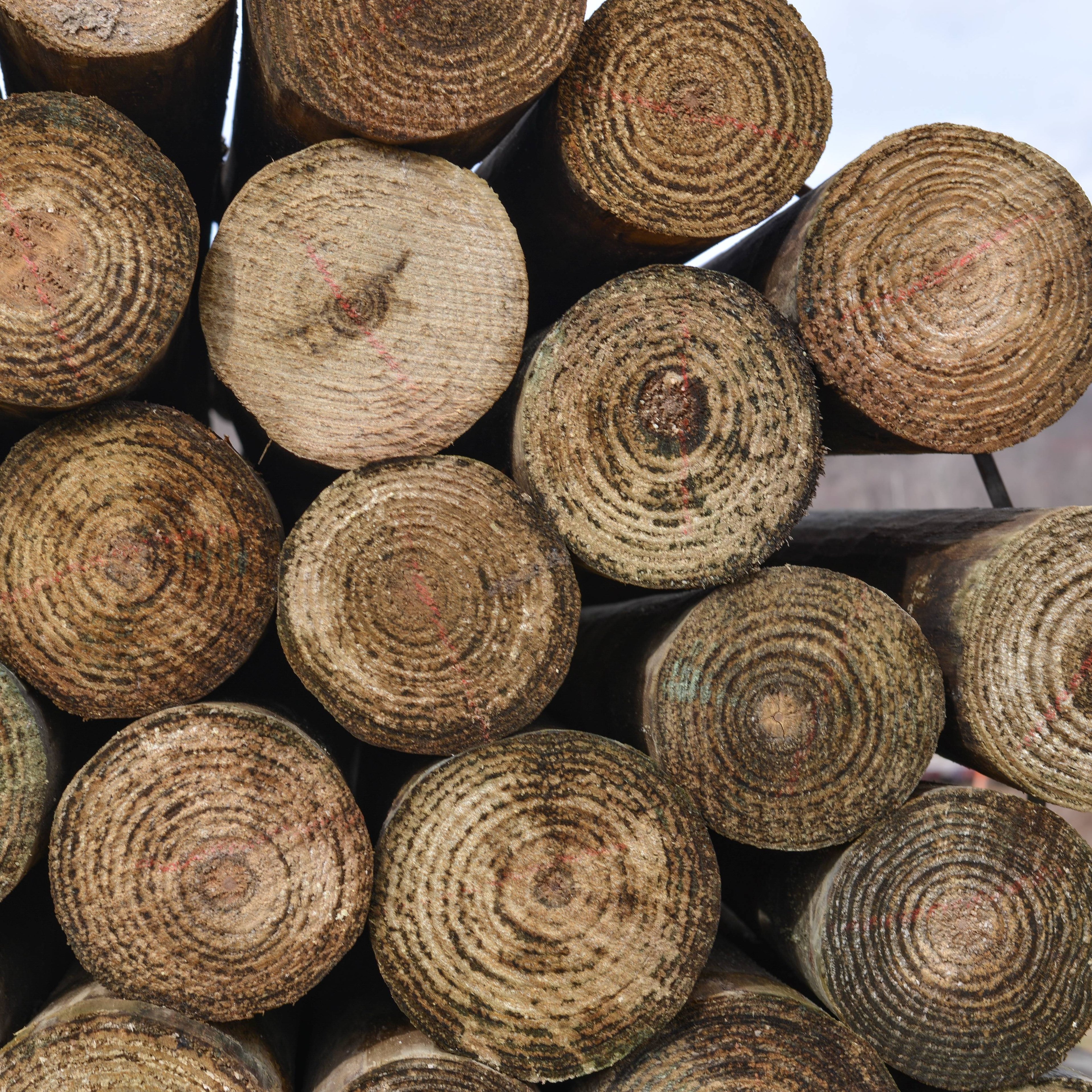 CCA Treated 4 to 5-in x 6.5-ft Tapered Wood Post (.40)