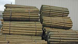 CCA Treated 5 to 6-in x 6.5-ft Tapered Wood Post (.40)
