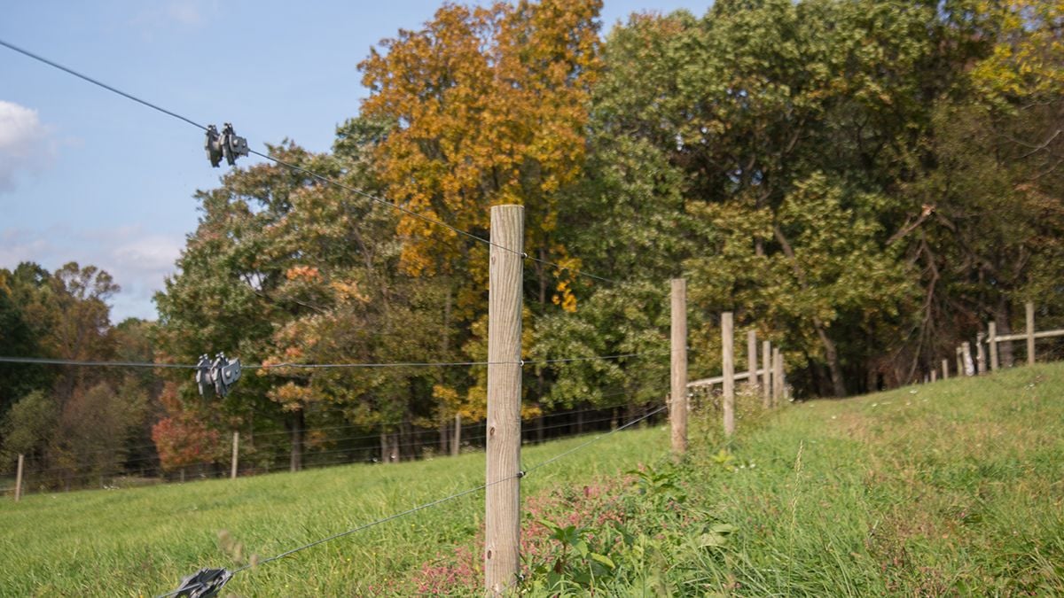 Why Build High Tensile Fences