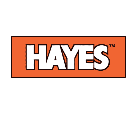 Icon -Hayes Fencing