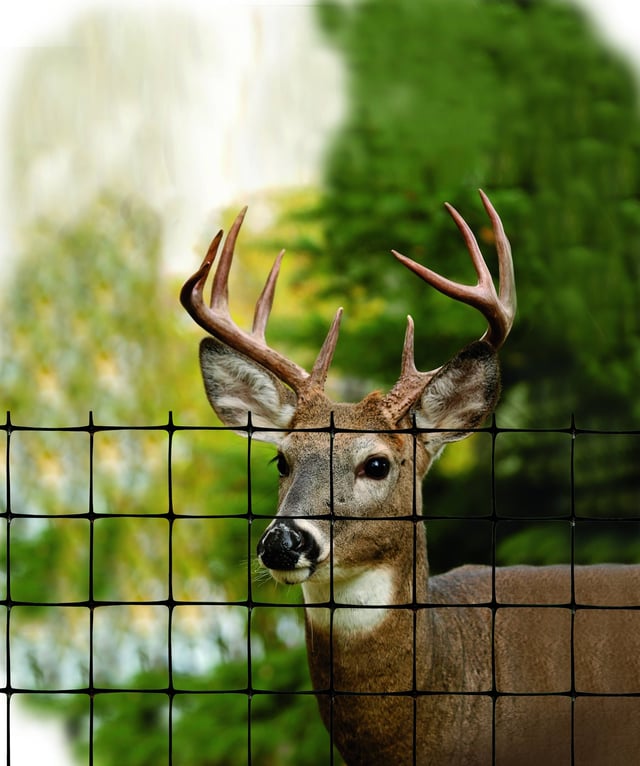 Deer Netting