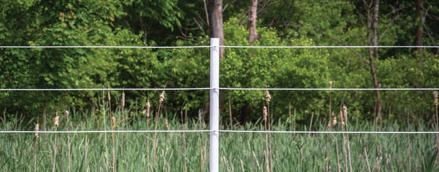 Rope Fence (Electric)