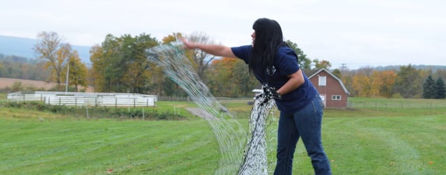 Electric Nets