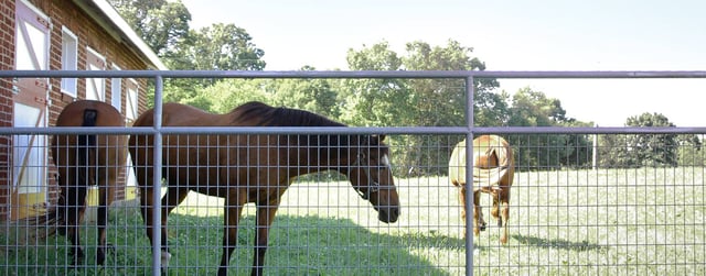 Wire Gates