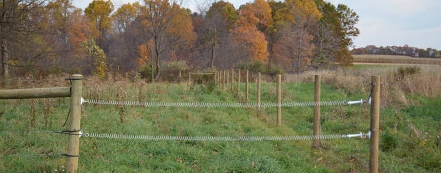 Spring Gates