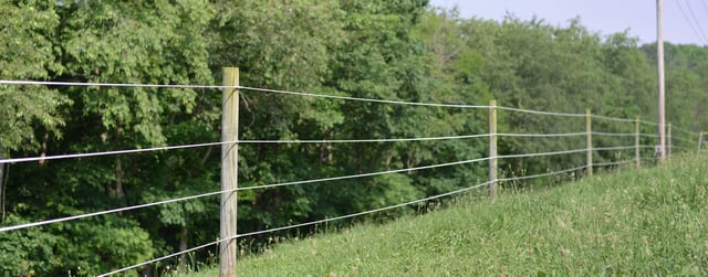 Coated Wire