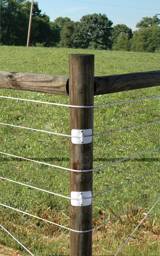 Corner Collar - Black, Pack 10