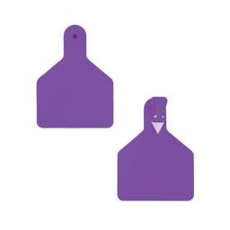 Blank Calf Tags, 25 Qty - Blank Calf Tags, 25 Qty