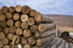 CCA 5"-6" x 12' Tapered Wood Post - Ships from PA